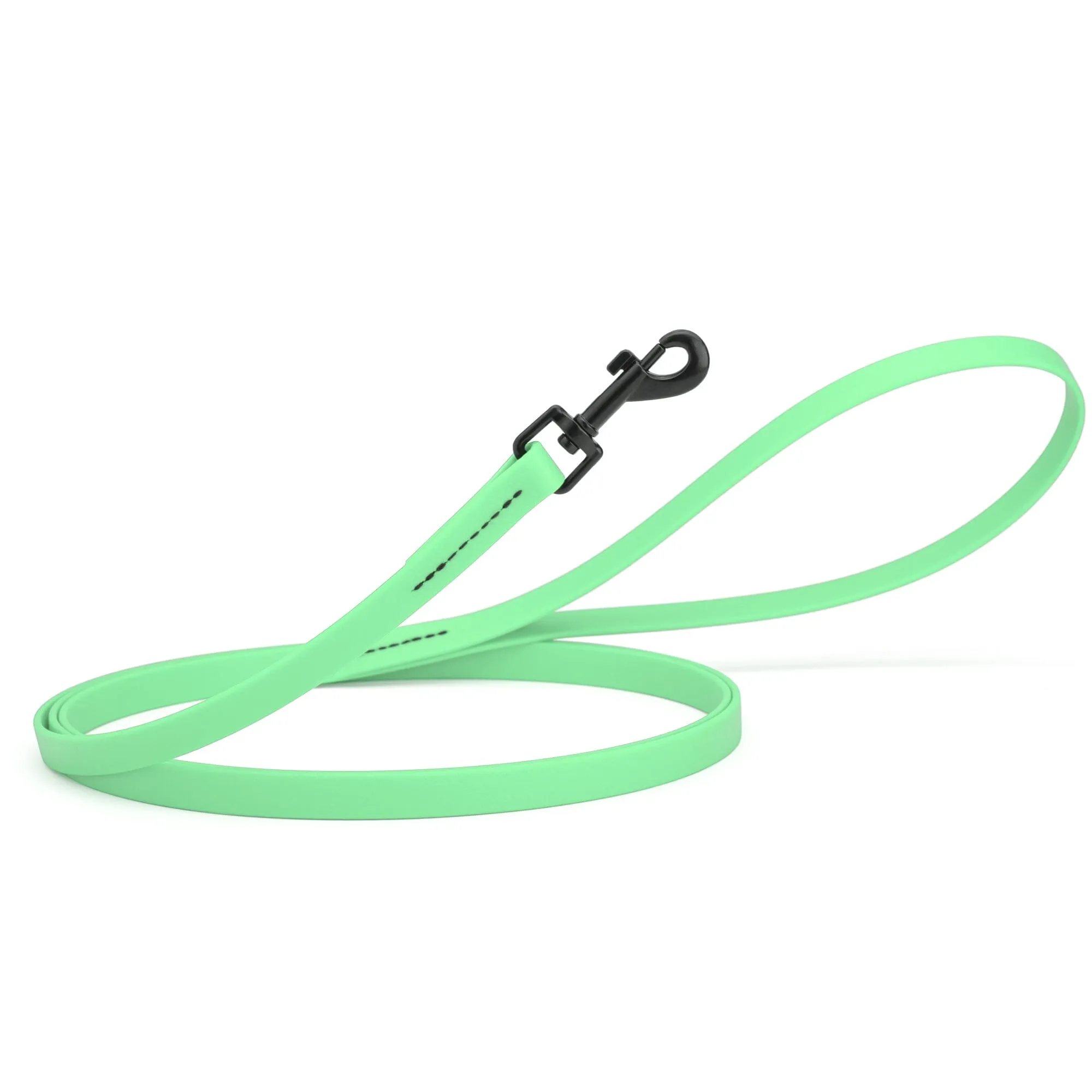 Biothane Waterproof Leash 6 ft