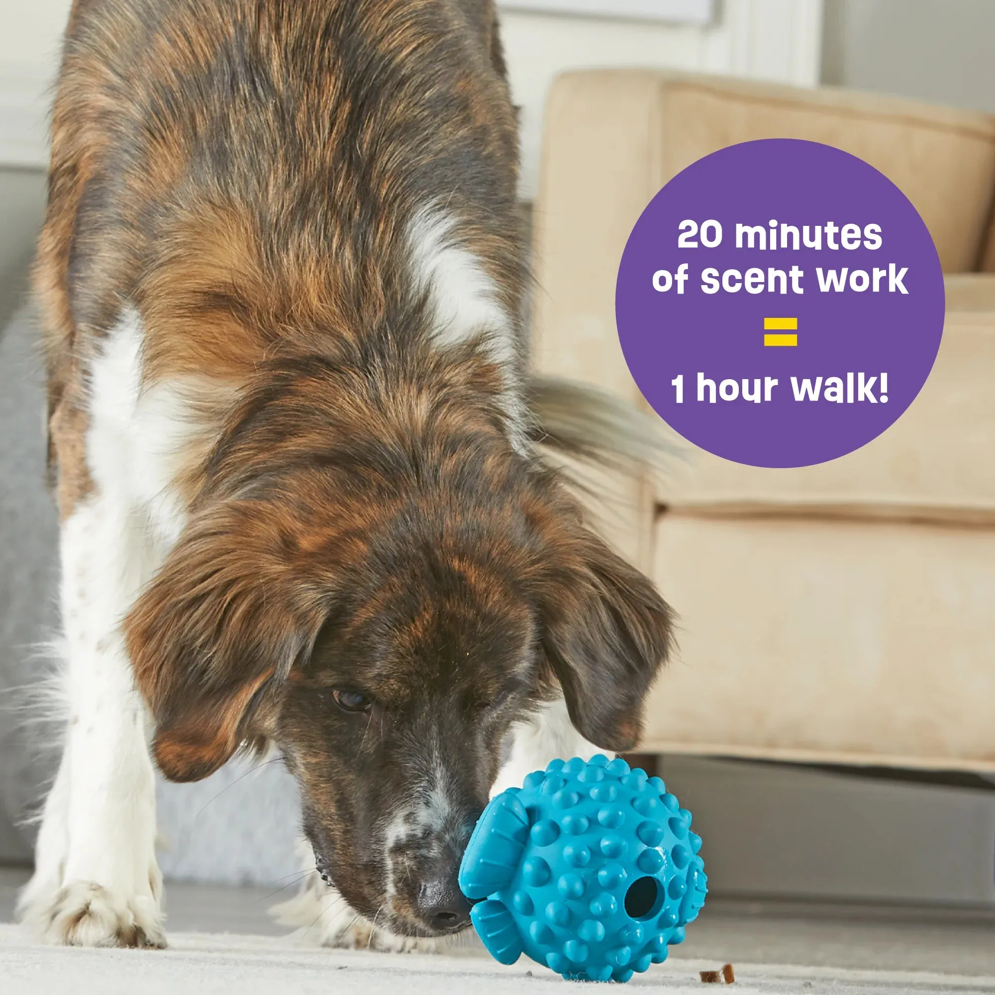 Brightkins Dog Toy Tough & Tumble Pufferfish Treat Dispenser