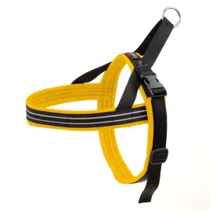 Comfort Flex Harness Saffron