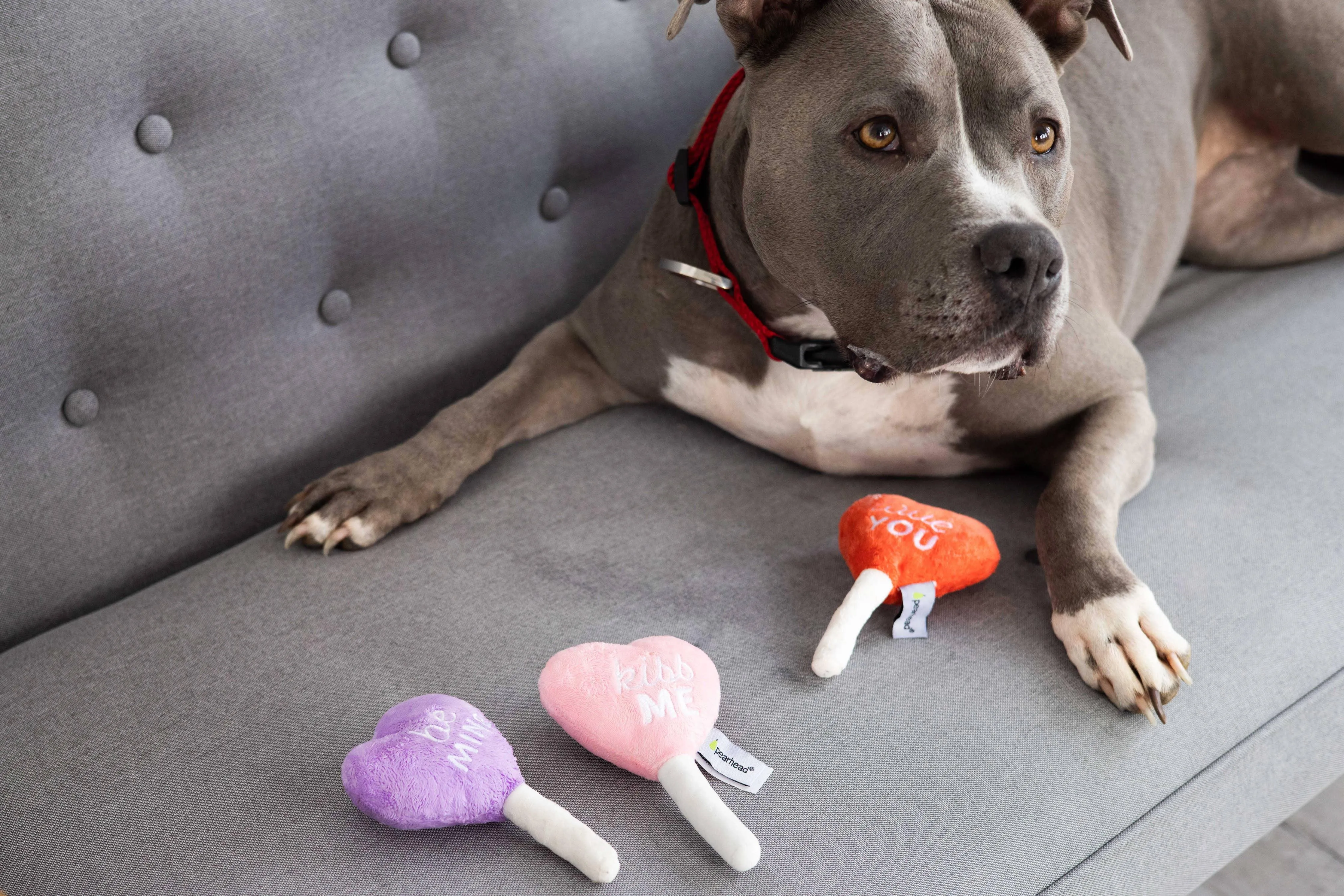 Conversation Hearts Dog Toys, Valentine's Day, Set of 3