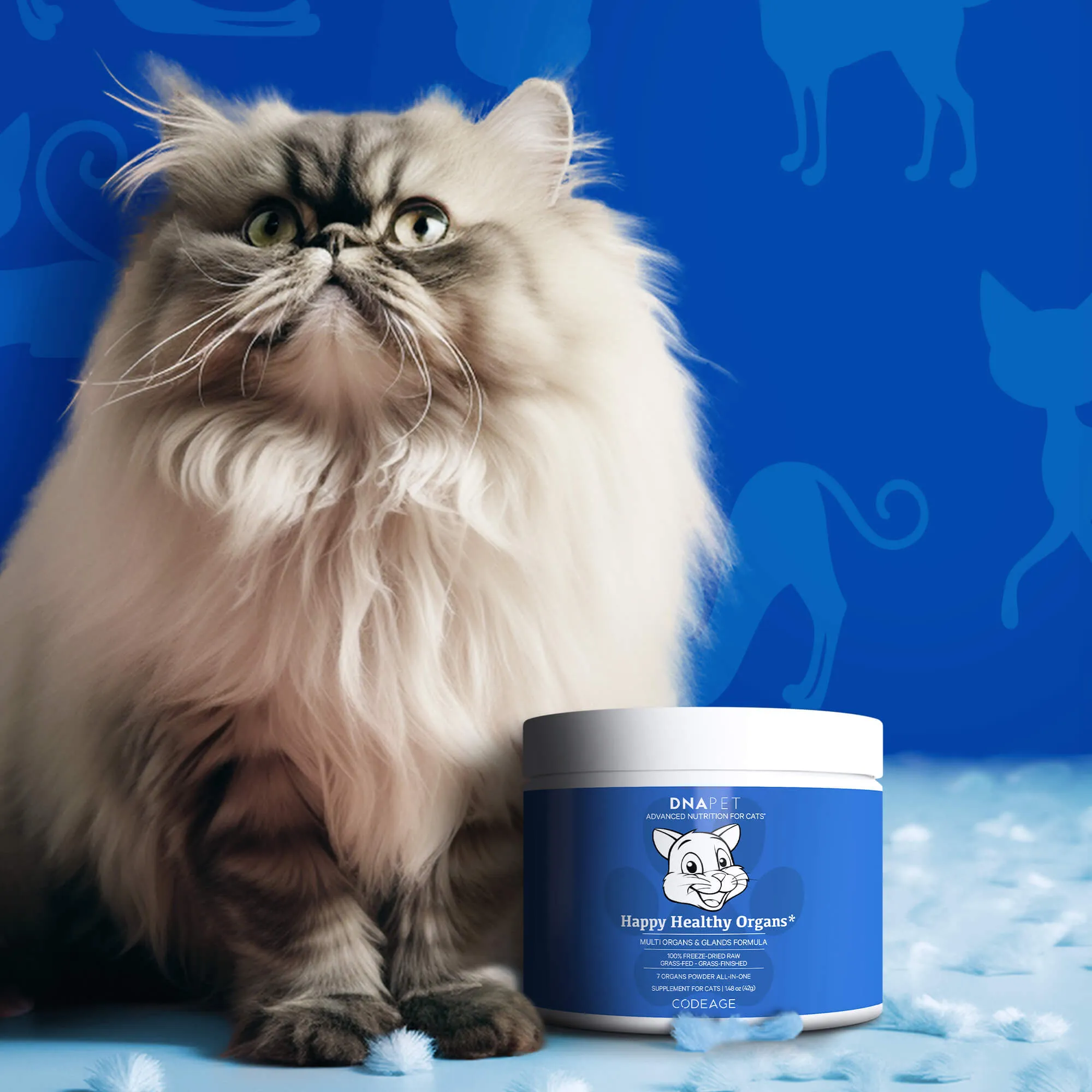 DNA PET Happy Healthy Organs For Cats