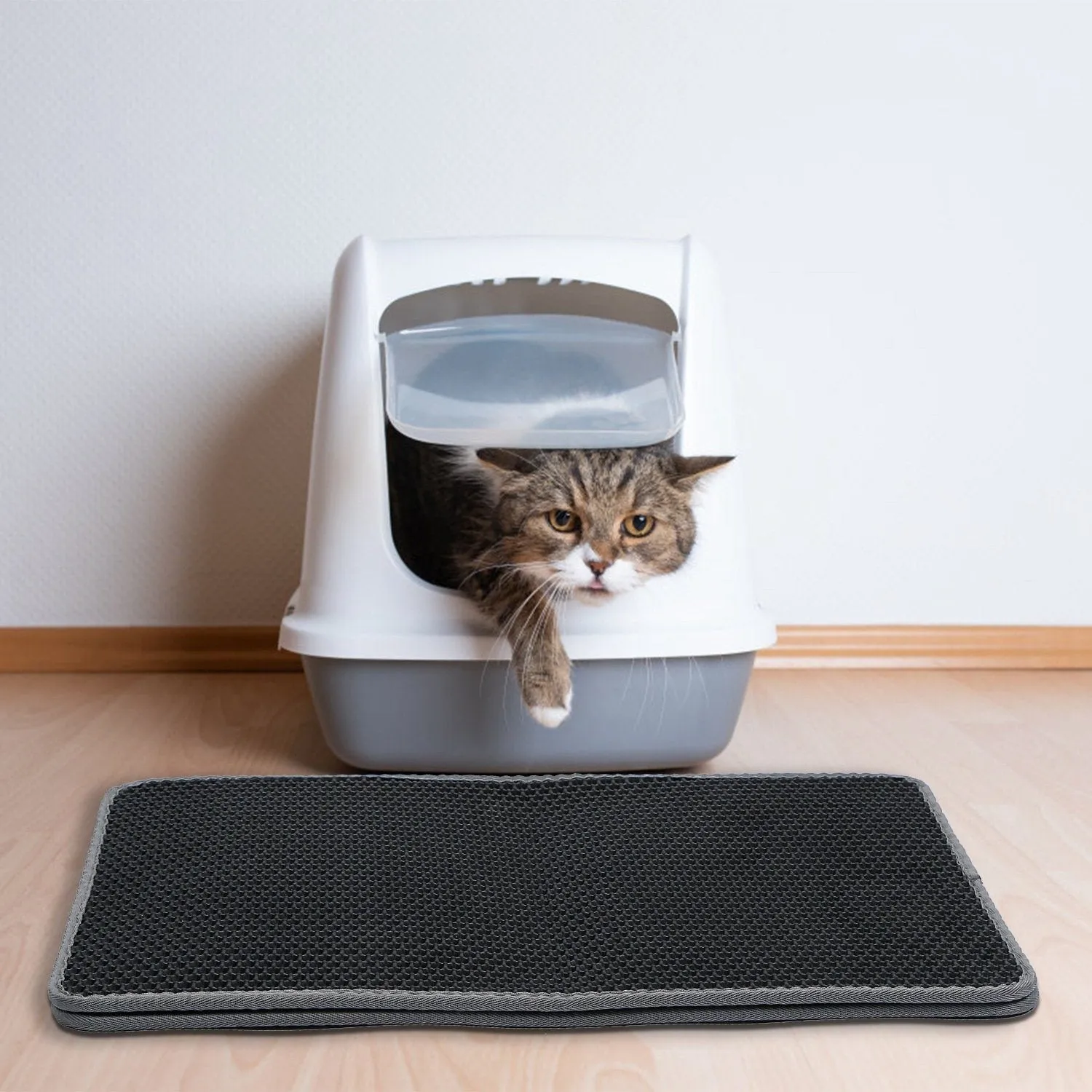 EVA Honeycomb Double Layer Cat Litter Mat