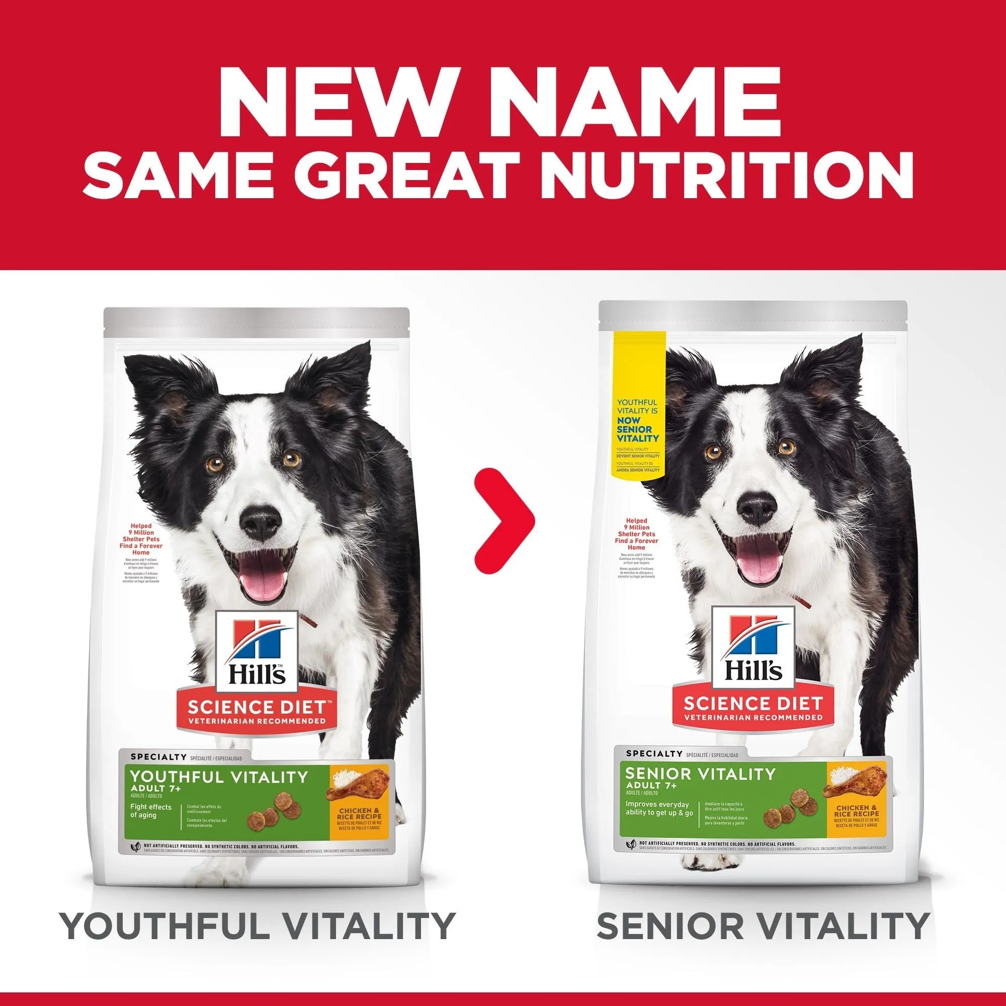 HILL'S SCIENCE DIET ADULT 7  SENIOR VITALITY DRY DOG FOOD 1.58KG