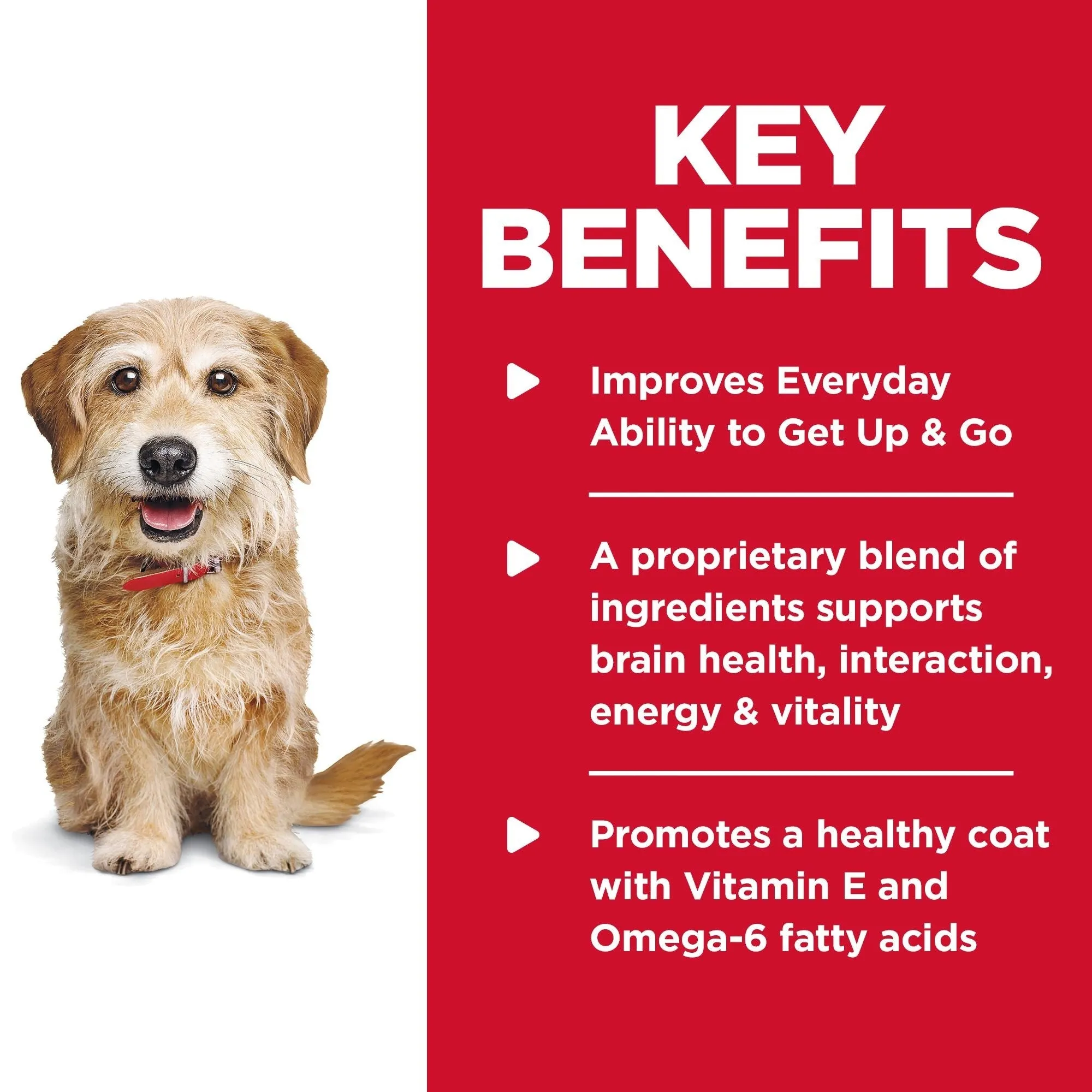 HILL'S SCIENCE DIET ADULT 7  SENIOR VITALITY SMALL & MINI SENIOR DRY DOG FOOD 1.58KG