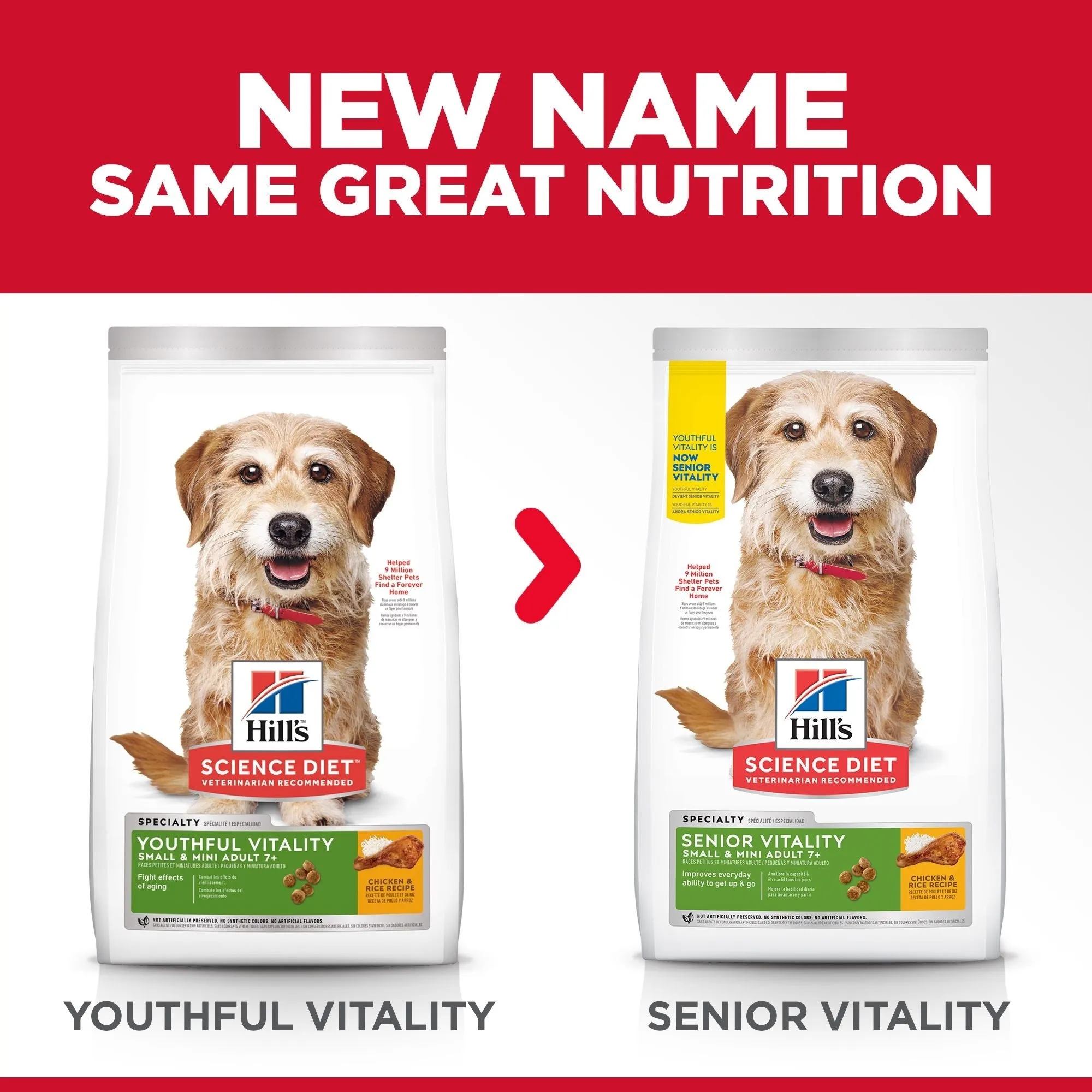 HILL'S SCIENCE DIET ADULT 7  SENIOR VITALITY SMALL & MINI SENIOR DRY DOG FOOD 1.58KG