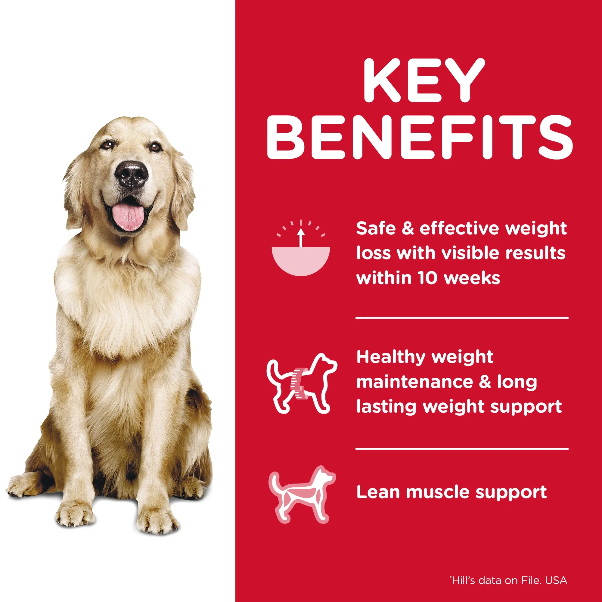 Hills Science Diet Perfect Weight Adult Dry Dog Food 11.34kg^^^