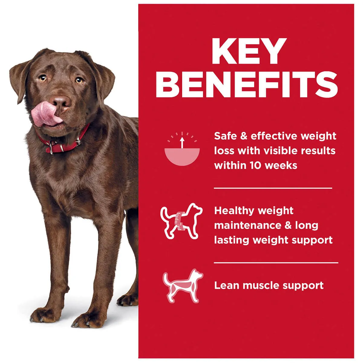 Hill's Science Diet Perfect Weight Large Breed Adult Dry Dog Food