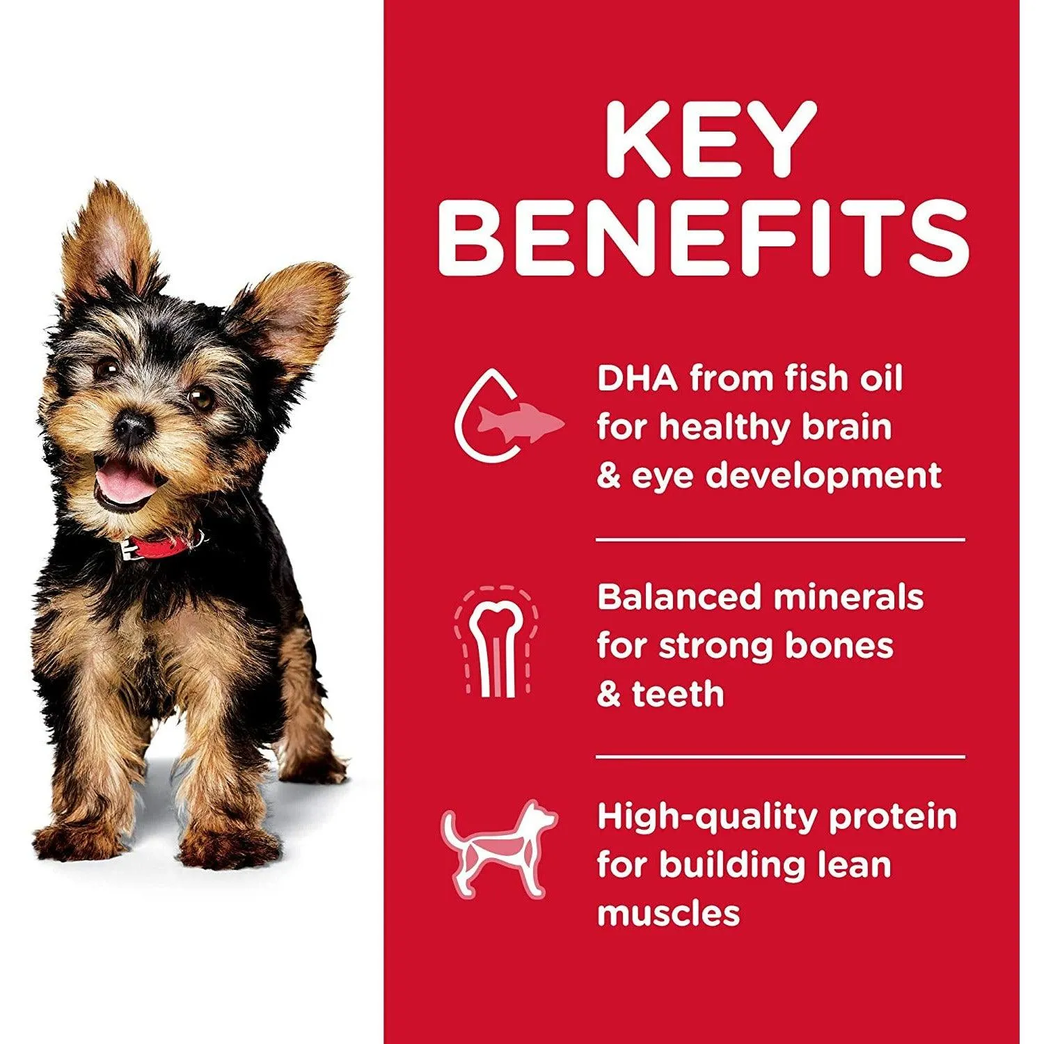 Hill's Science Diet Puppy Small & Toy Breed dog food