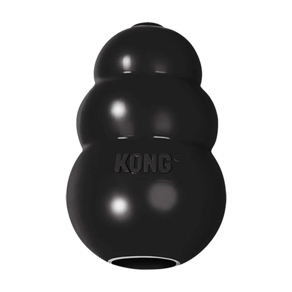 KONG Extreme Black Dog Toy