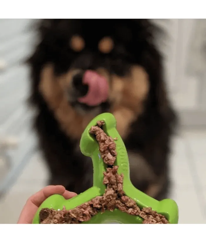 Kong - Quest Wishbone Large