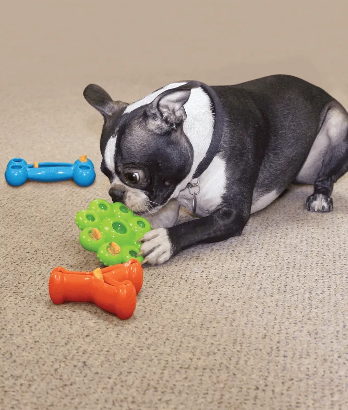 Kong - Quest Wishbone Large