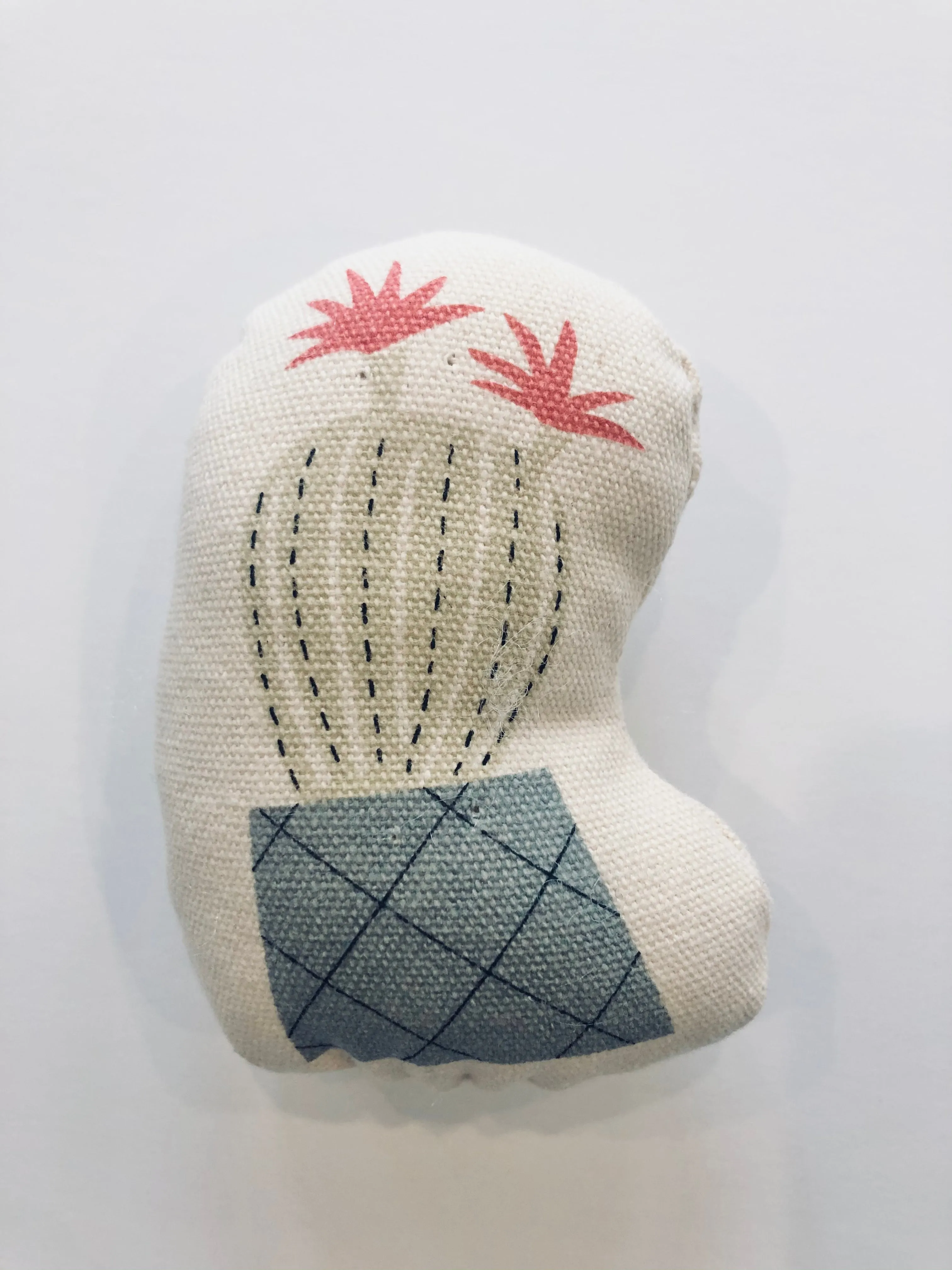 Little Squeaker Dog Toys For Little Pups
