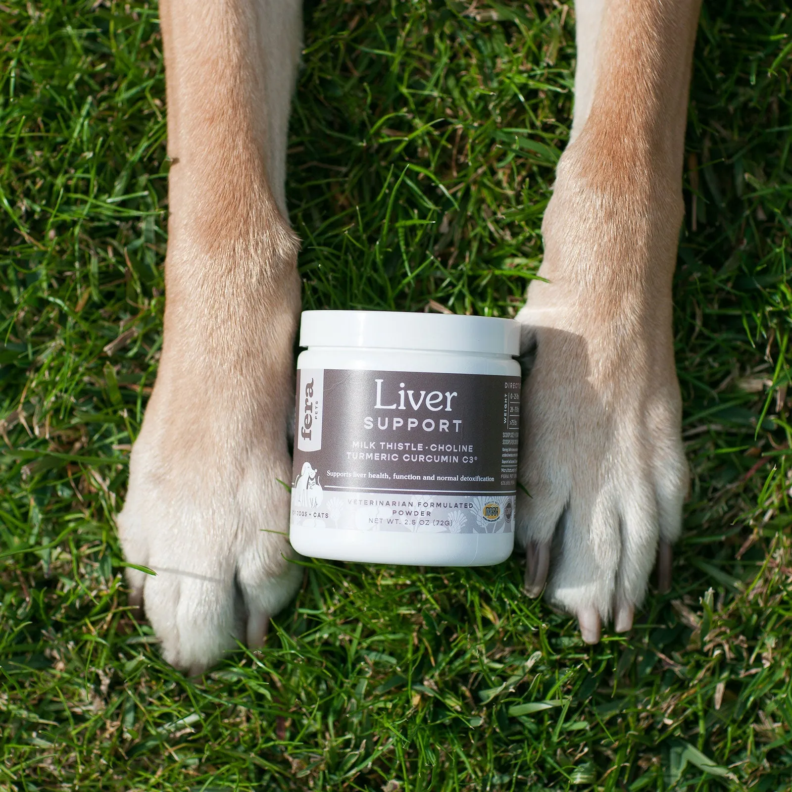 Liver Support for Dogs and Cats from Fera Pet Organics