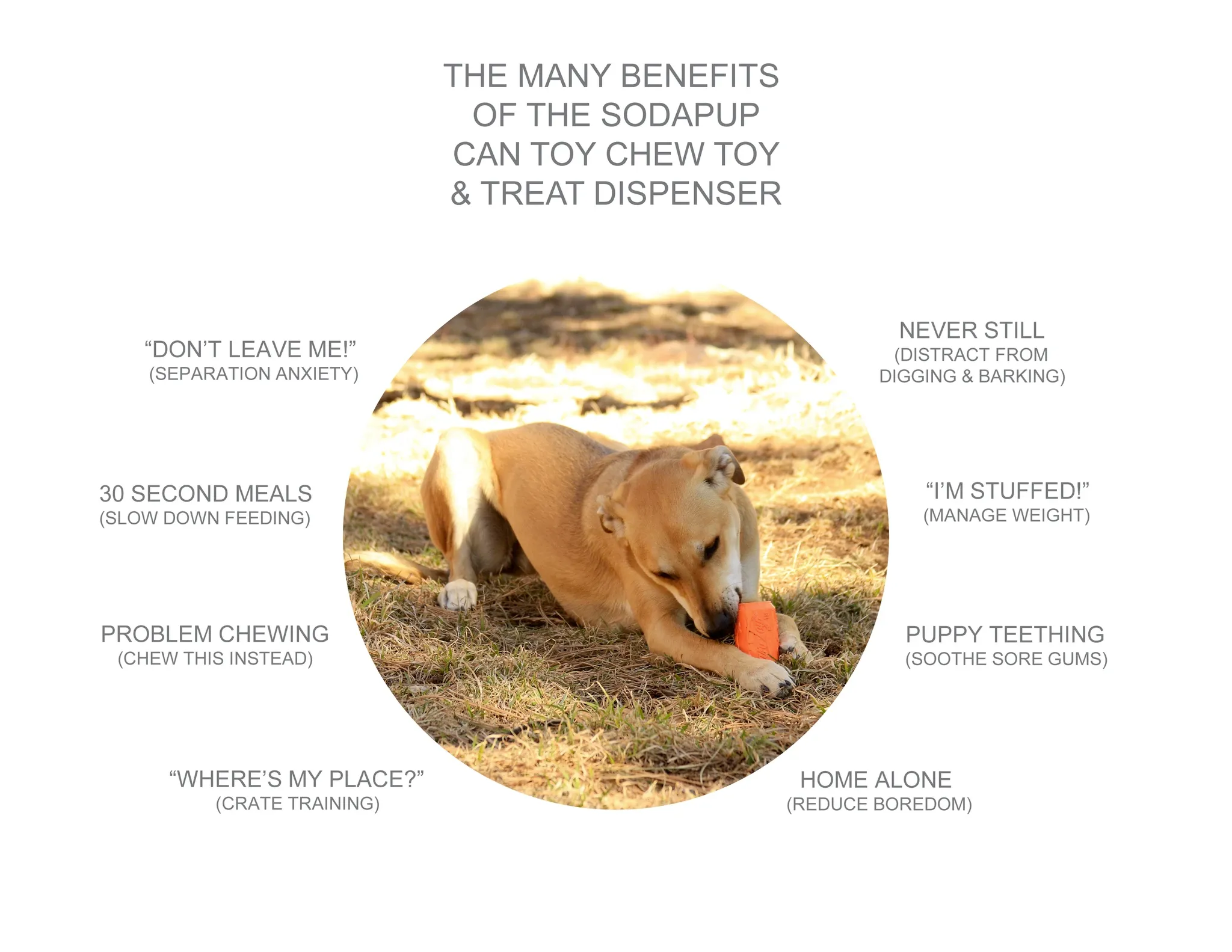 Natural Rubber Treat Dispenser Can Toy, Pink for Puppies