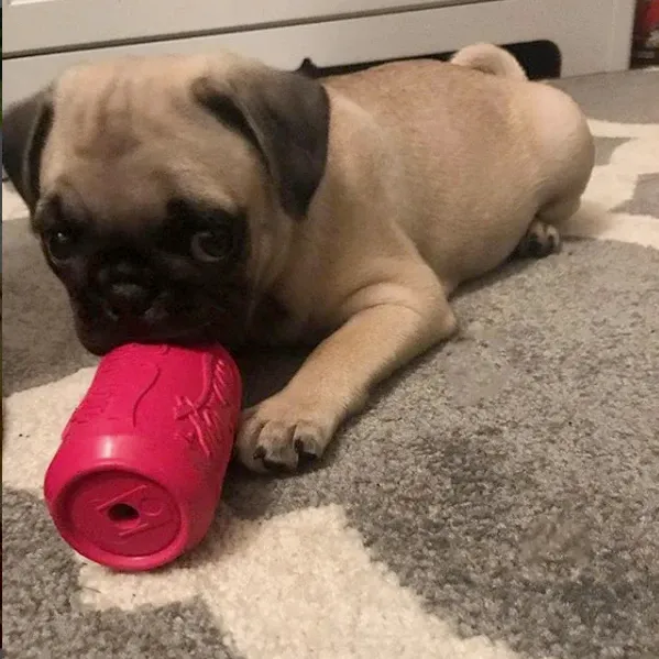 Natural Rubber Treat Dispenser Can Toy, Pink for Puppies
