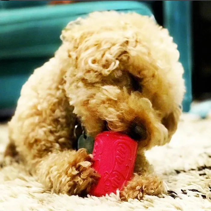 Natural Rubber Treat Dispenser Can Toy, Pink for Puppies