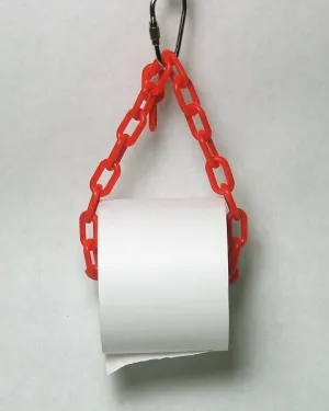 Paper Roll Bird Toy