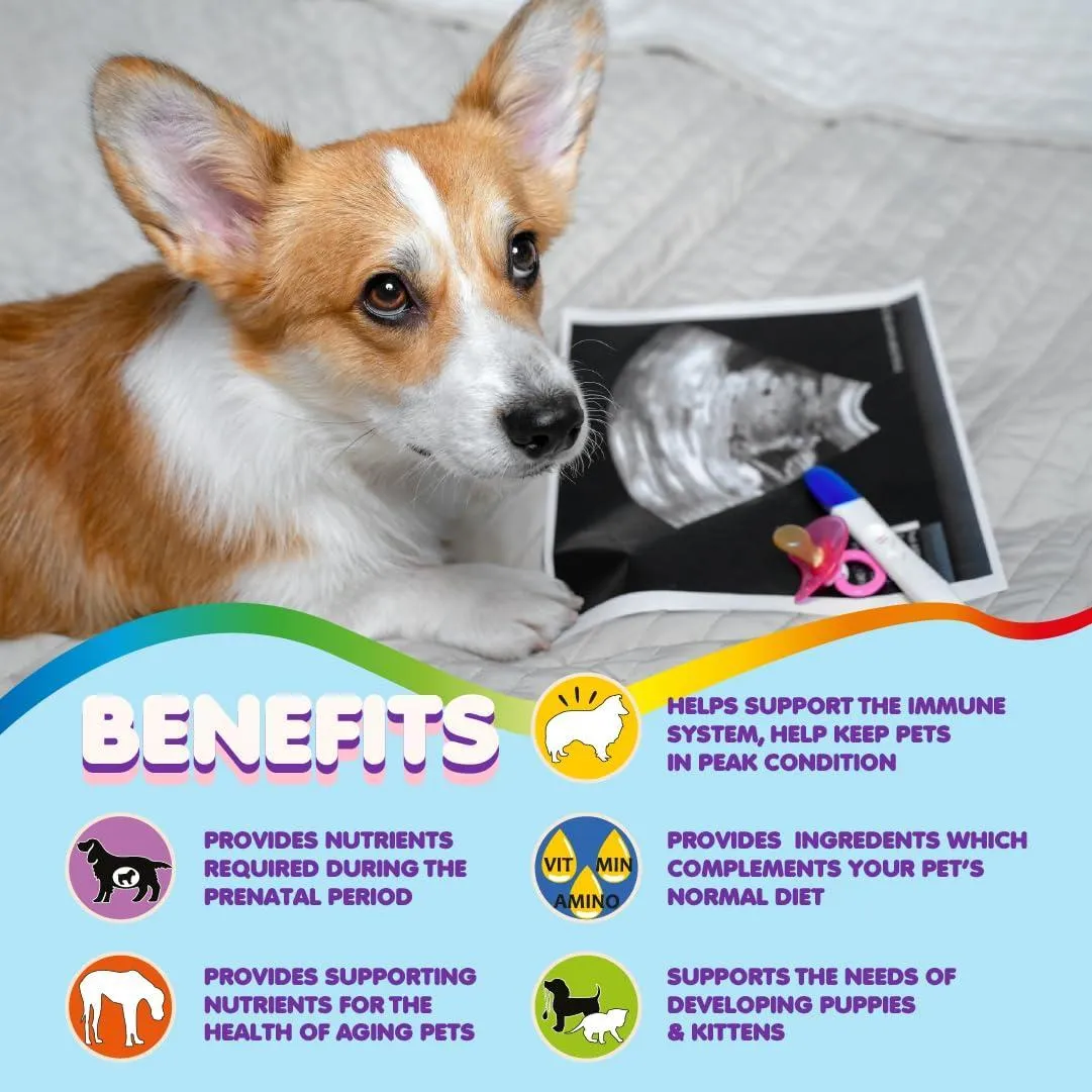 Prenatal Dog Vitamins 60 Pills for Dogs and Cats with Folic Acid Minerals and