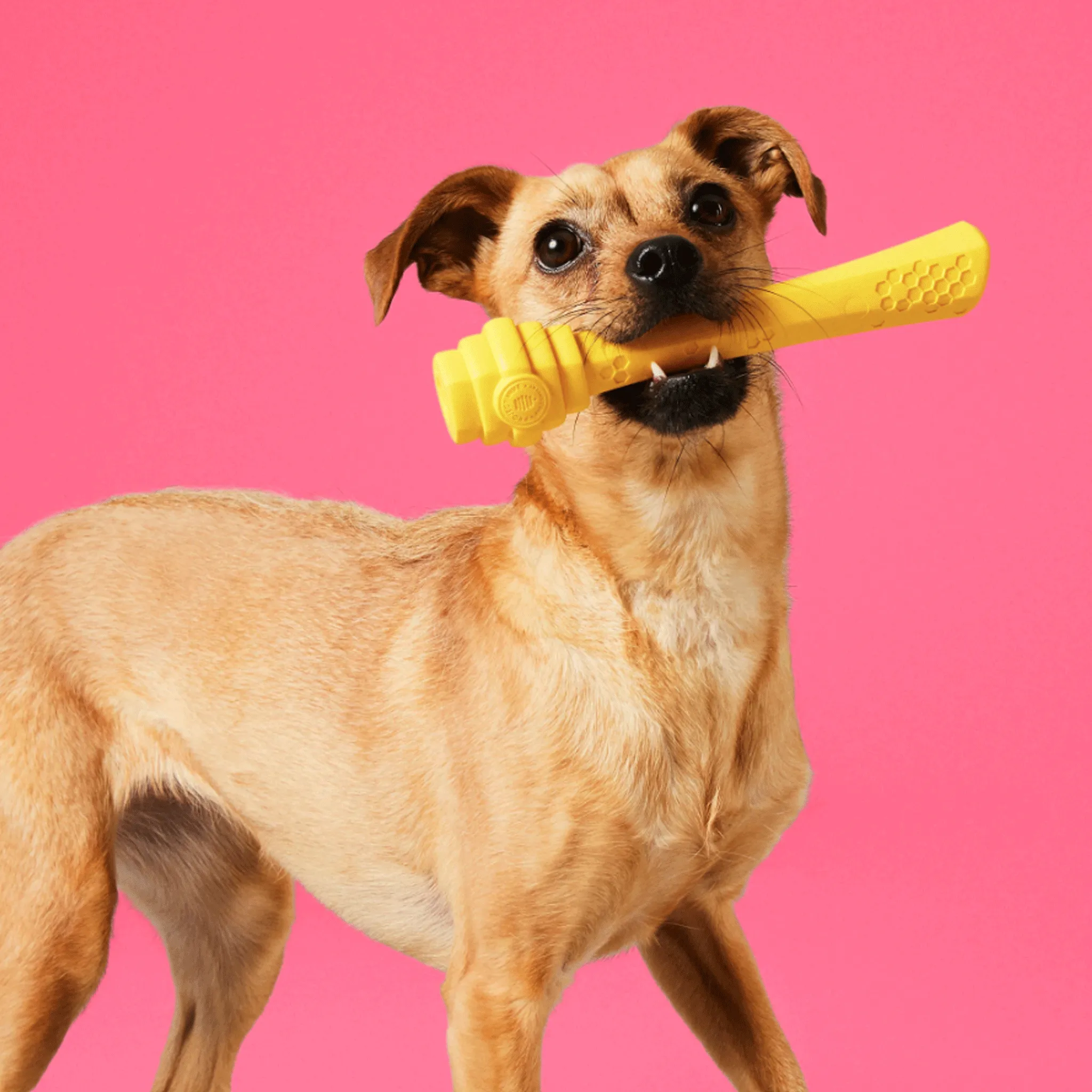 Project Hive Fetch Stick Yellow Dog Toys