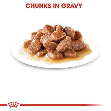 Royal Canin Digest Sensitive A Chicken & Beef