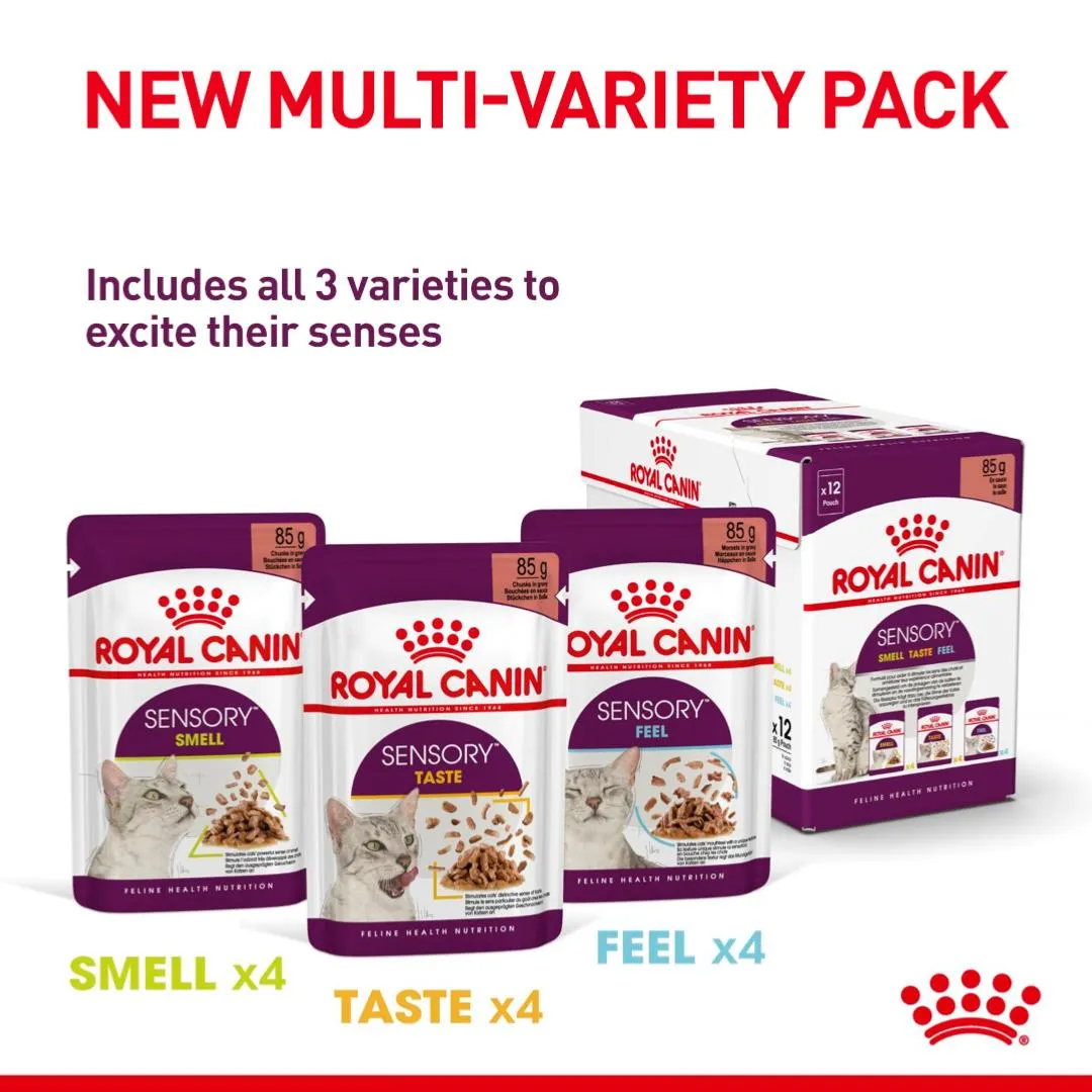 Royal Canin | Feline Health Nutrition | Wet Cat Food Pouch | Assorted Sensory Feel, Taste & Smell in Gravy - 12 x 85g