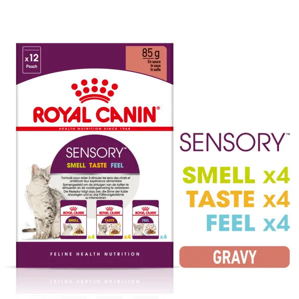 Royal Canin | Feline Health Nutrition | Wet Cat Food Pouch | Assorted Sensory Feel, Taste & Smell in Gravy - 12 x 85g