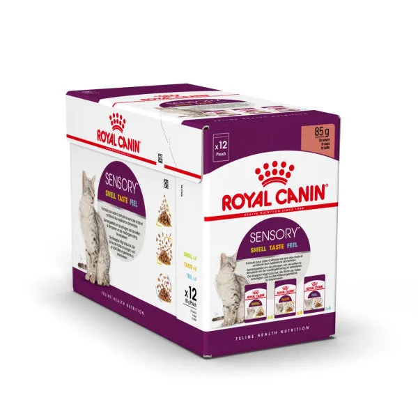 Royal Canin | Feline Health Nutrition | Wet Cat Food Pouch | Assorted Sensory Feel, Taste & Smell in Gravy - 12 x 85g