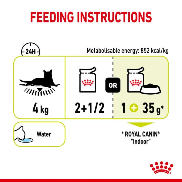Royal Canin | Feline Health Nutrition | Wet Cat Food Pouch | Assorted Sensory Feel, Taste & Smell in Gravy - 12 x 85g