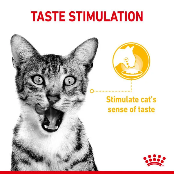Royal Canin | Feline Health Nutrition | Wet Cat Food Pouch | Assorted Sensory Feel, Taste & Smell in Gravy - 12 x 85g
