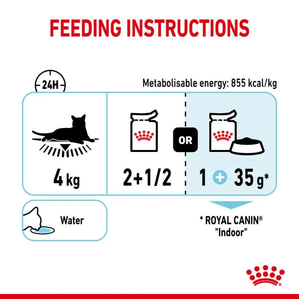 Royal Canin | Feline Health Nutrition | Wet Cat Food Pouch | Assorted Sensory Feel, Taste & Smell in Gravy - 12 x 85g