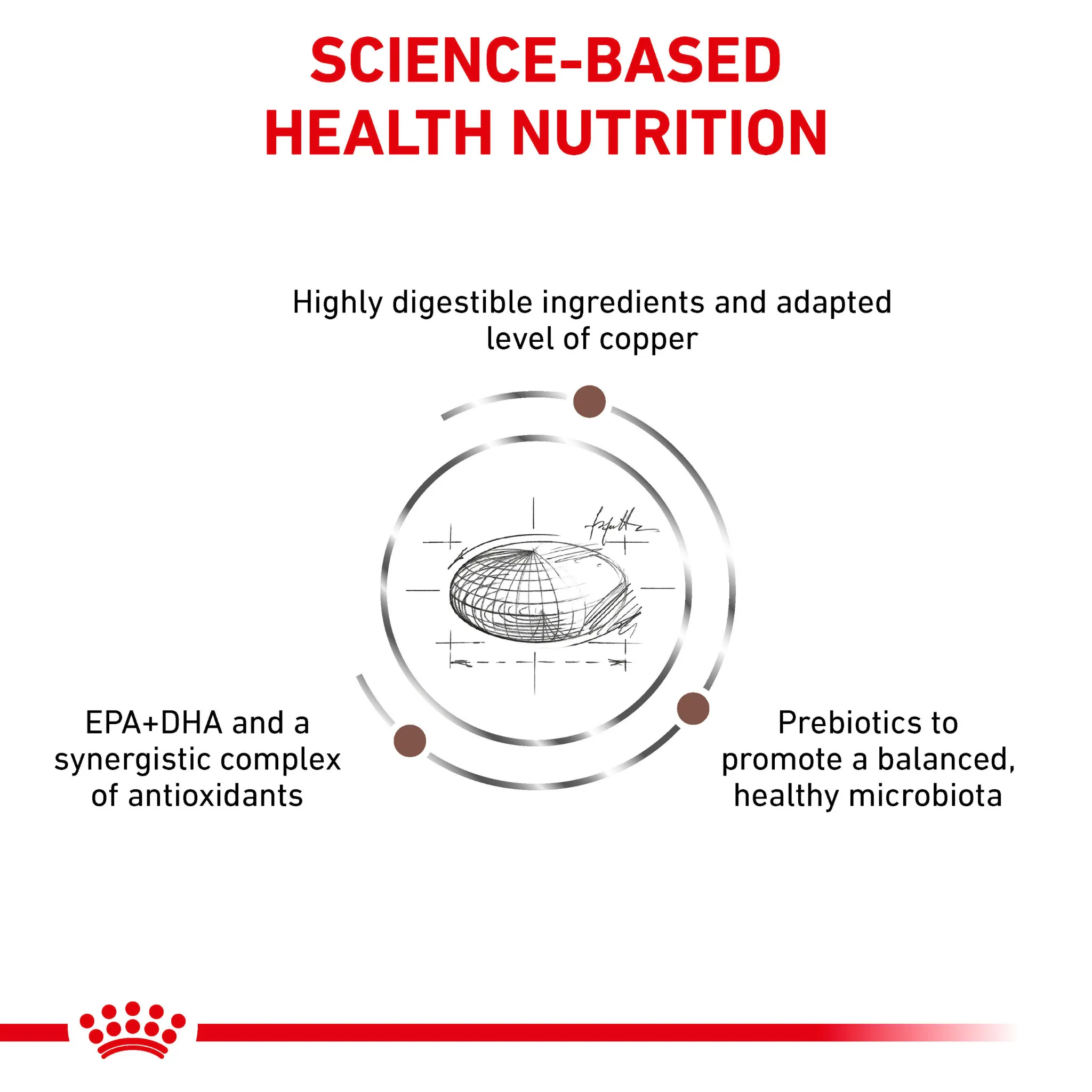ROYAL CANIN® Hepatic Adult Dry Cat Food