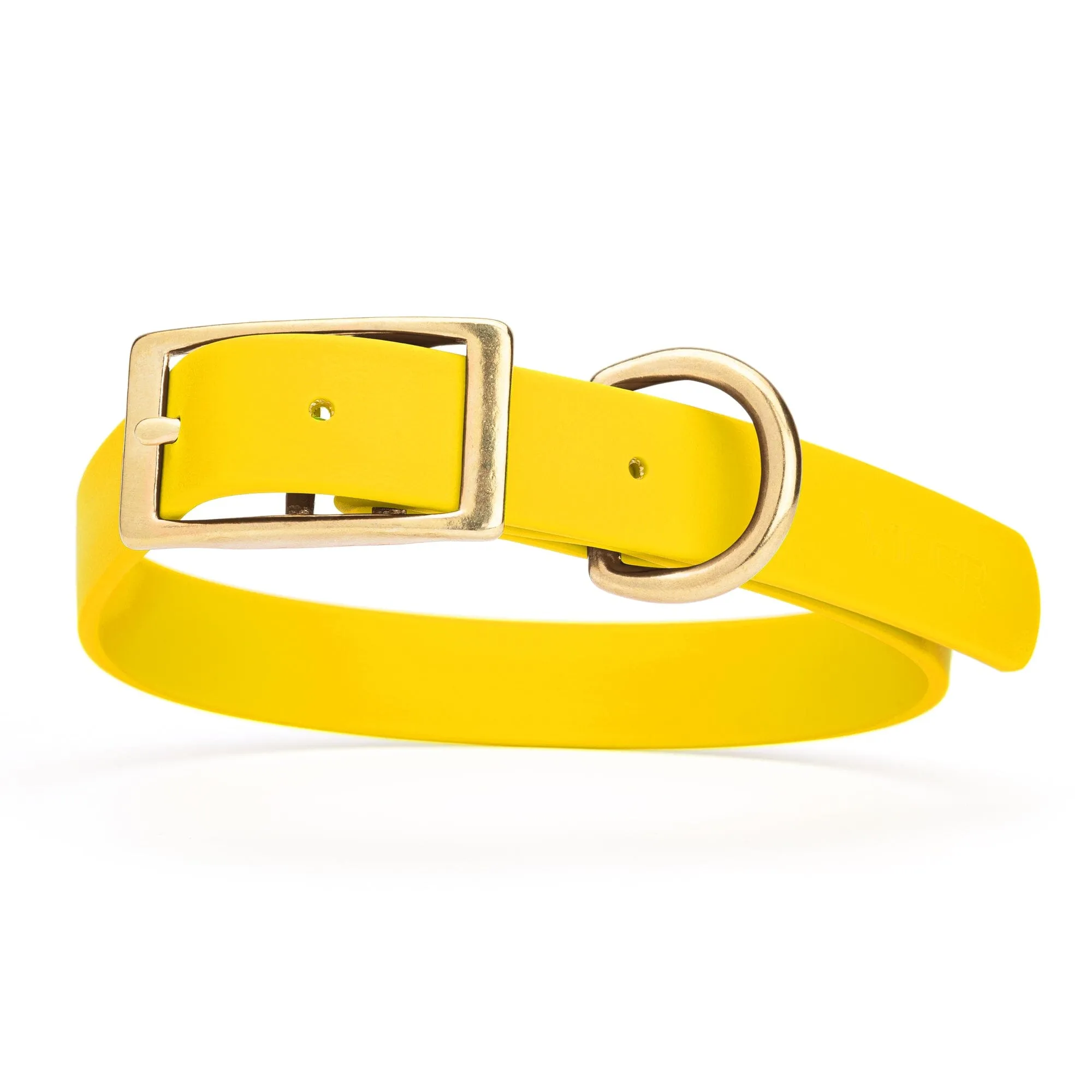 Viper Biothane Waterproof Dog Collar - Brass Hardware - Size XL (22" - 25")
